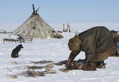 The nomads of Siberia