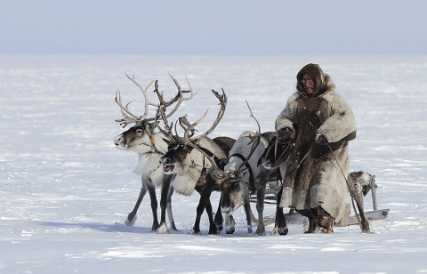 The nomads of Siberia